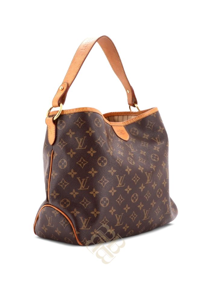 Túi Louis Vuitton Delightful Handbag Monogram Canvas MM hobo bag 0CRQ7WLZQQINUN2K