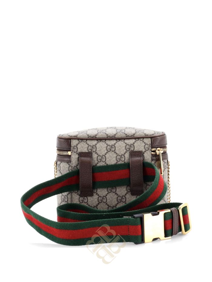 Túi đeo chéo Gucci Ophidia Chain GG Coated Canvas Small belt bag 6YP5L9ERS61U7CRE 2026 Túi đeo chéo Gucci Ophidia Chain GG Coated Canvas Small belt bag 6YP5L9ERS61U7CRE